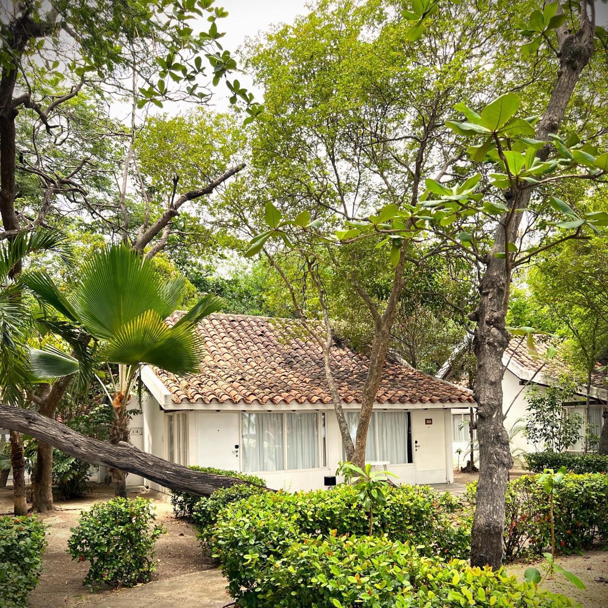 Hotel Irotama Bungalows & Bohios Санта-Марта Экстерьер фото
